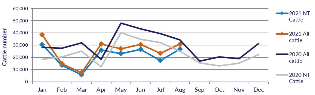 Live cattle export through Port of Darwin from January 2020, see table above to detailed description