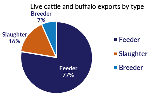 Live cattle and buffalo exports by type: feeder 0%, slaughter 14%, breeder 0%