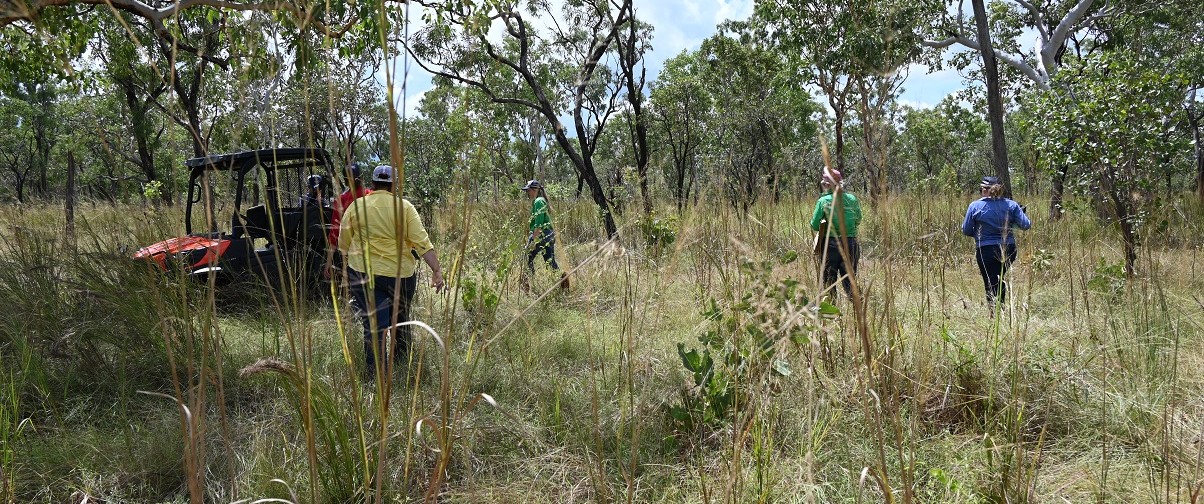 People standing in rangelands