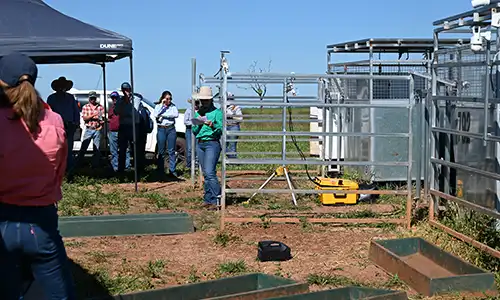 Douglas Daly Research Farm field day recap