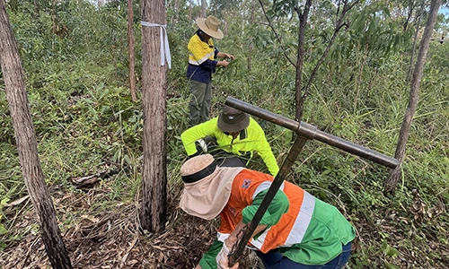 Sampling Gulkula