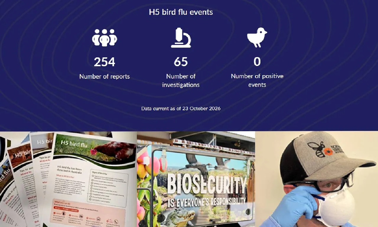 Keeping watch: The Northern Territory’s H5 bird flu response
