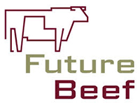 Future beef