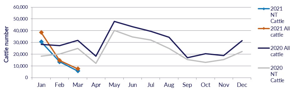 Graph: figures for all cattle and NT cattle for the last two years, see table above for number