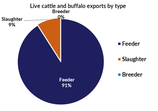 Pie chart of live cattle and buffalo exports - feeder 100%