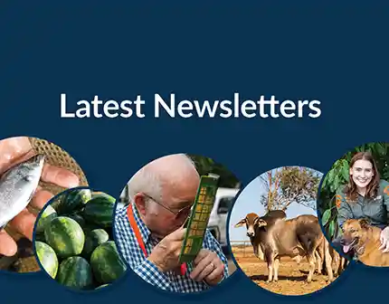 Latest newsletters