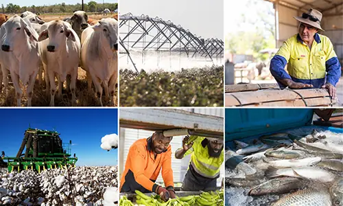 Agriculture Value-Add Grants Awarded