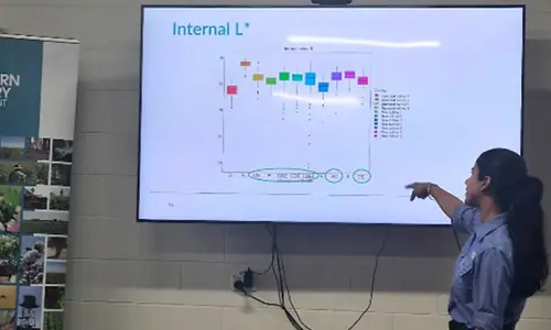 Mango R&D workshop research