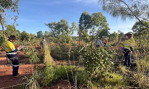 Field sampling sets the foundation for Gulkula Mine rehabilitation