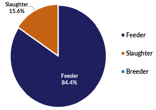 Live cattle and buffalo exports by type 