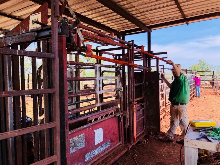 Jay Mohr-Bell waits for more beef at Mathison Station. 