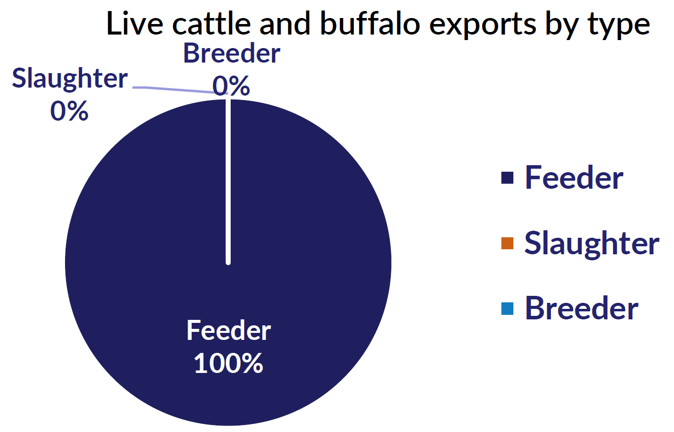 Live cattle exports thru Port of Darwin May 2022