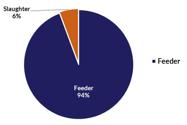 Slaughter: 10%, feeder: 90%