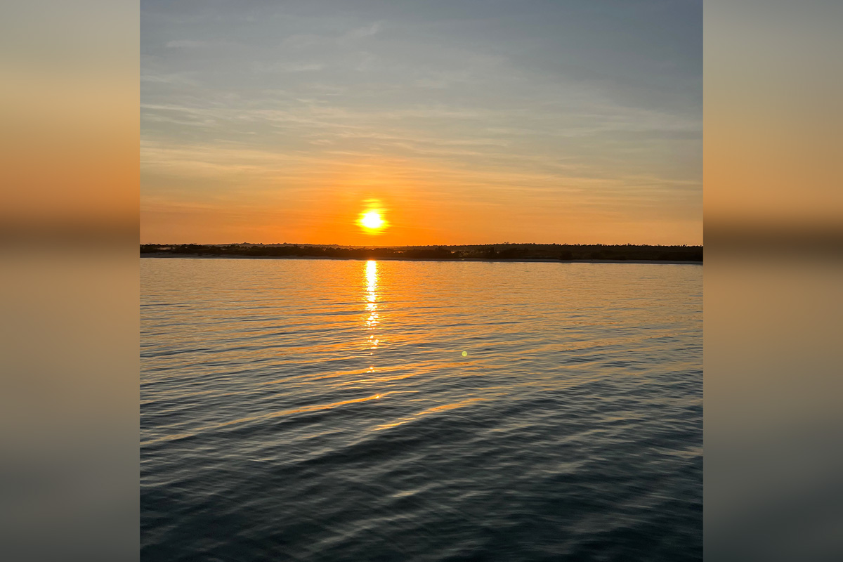 Seagrass survey in the Gulf of Carpentaria