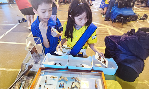 Students take on biosecurity quest and agricultural adventure this National Science Week