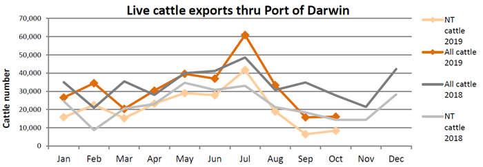 Graph cattle exports through port of Darwin