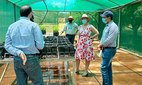 Minister Manison and Plant Industries team in viewing nursery plants