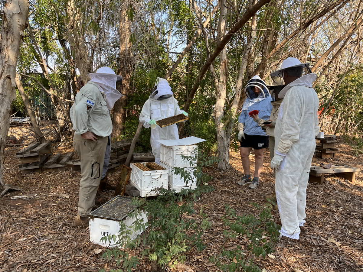 Leading the buzz in Northern Australia’s beekeeping