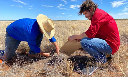 Two people conducting fieldwork in a dry grassy area