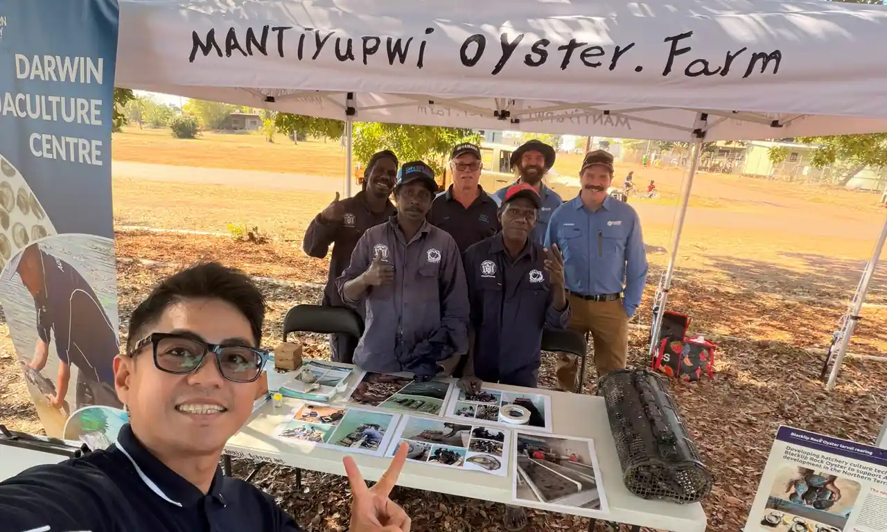 Showcasing oysters at the Tiwi Cultural Festival