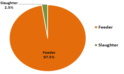 Live cattle and buffalo exports by tyoe