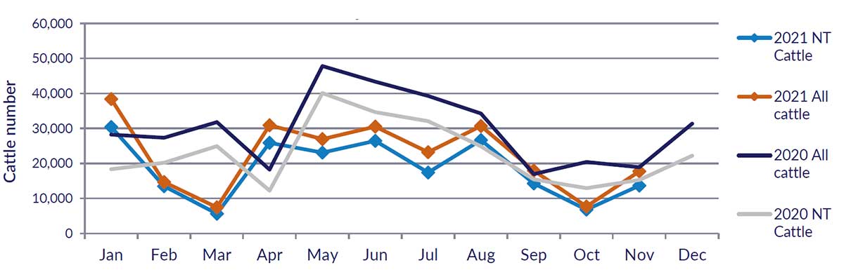 Graph showing cattle numbers through the Port of Darwin since January 2020, see table above for detailed data