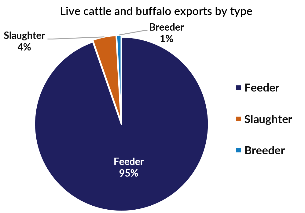 Live cattle and buffalo exports by type