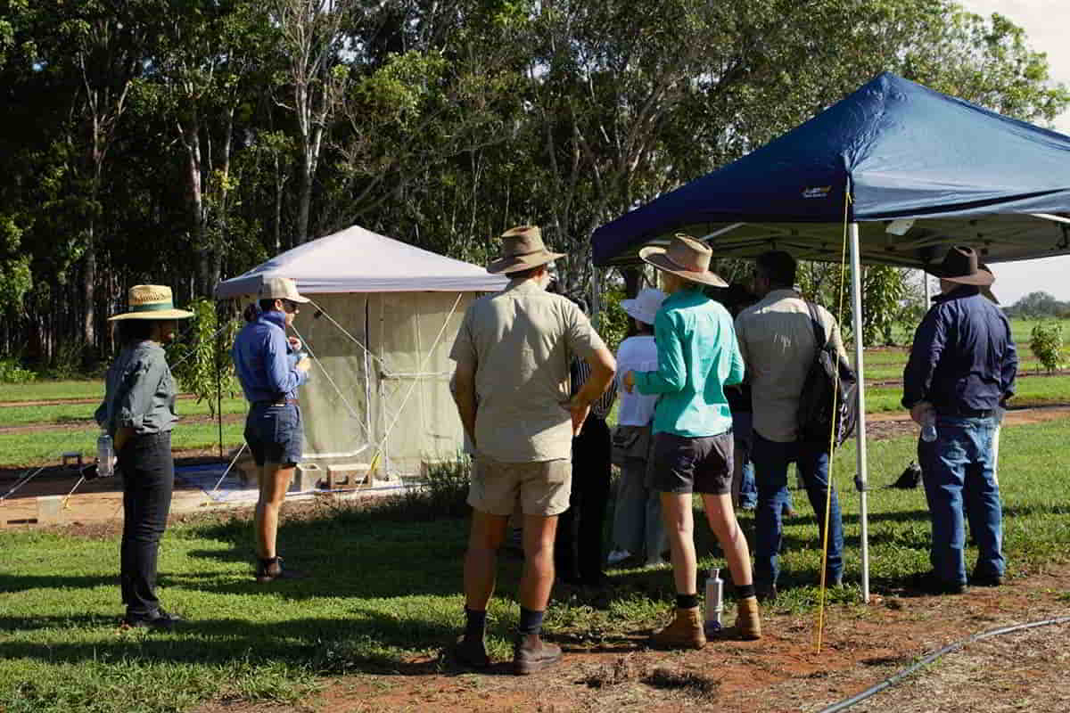 Coastal Plains Research Farm Field Day