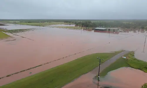Cropping Team replants after Big Rivers floods devastate crop trials