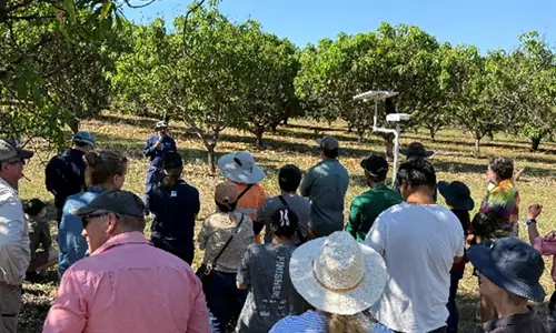 Mango R&D workshop