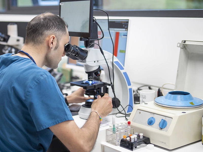 Lab work