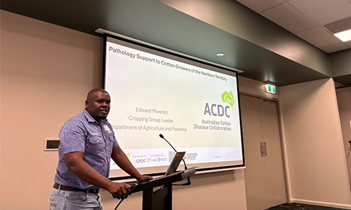 NT expertise on national stage