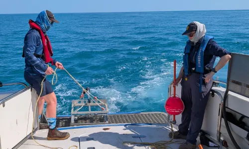 Reef fish monitoring underway