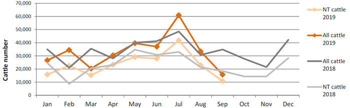 Graph - live cattle exports through Port of Darwin 