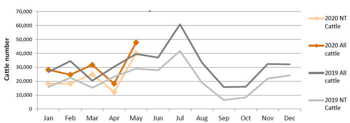 Live cattle and buffalo exports by Feeder / Slaugher