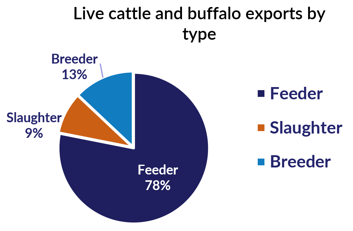 Live cattle and buffalo exports by type