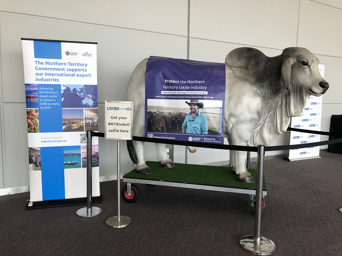 Meet BOS the biosecurity bull