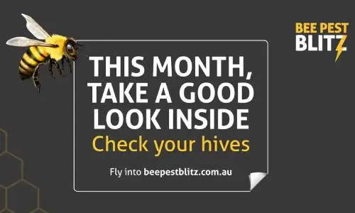 This month, take a good look inside, check your hives