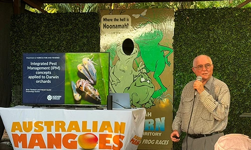 2026 Mango Roadshows