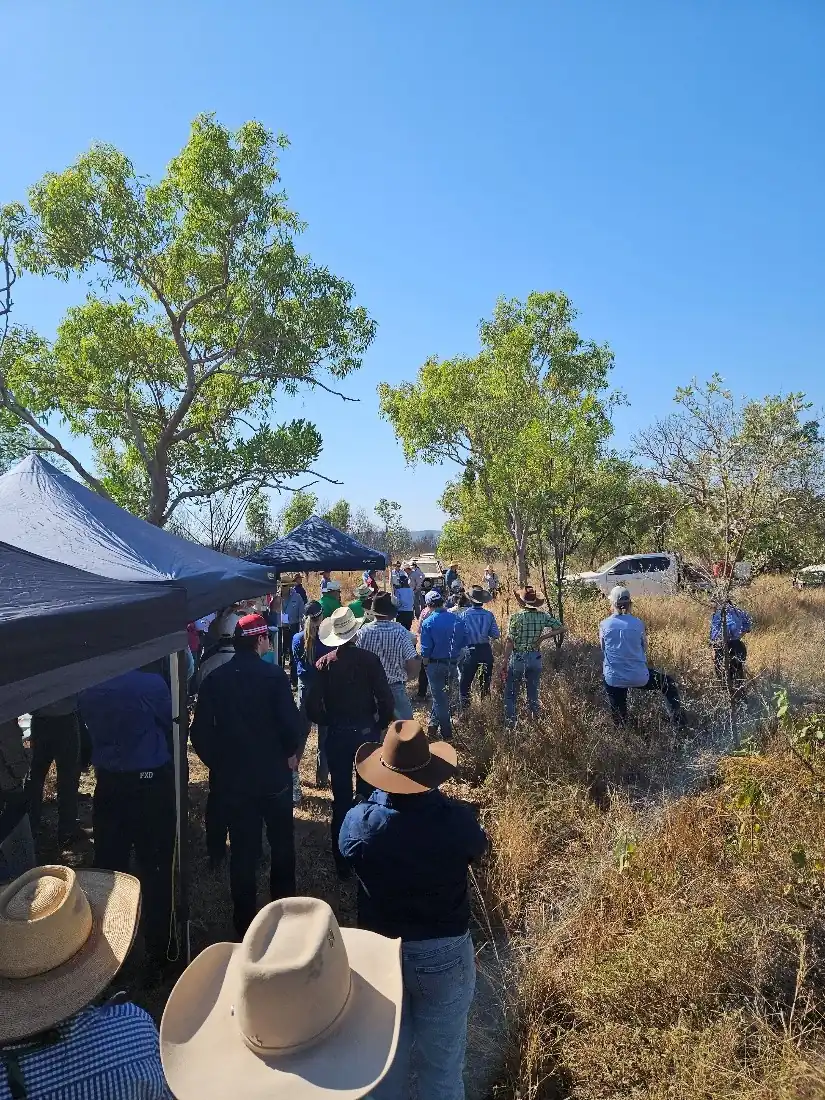 Paddock tour - Afternoon tea amongst the Shruburn trial plots