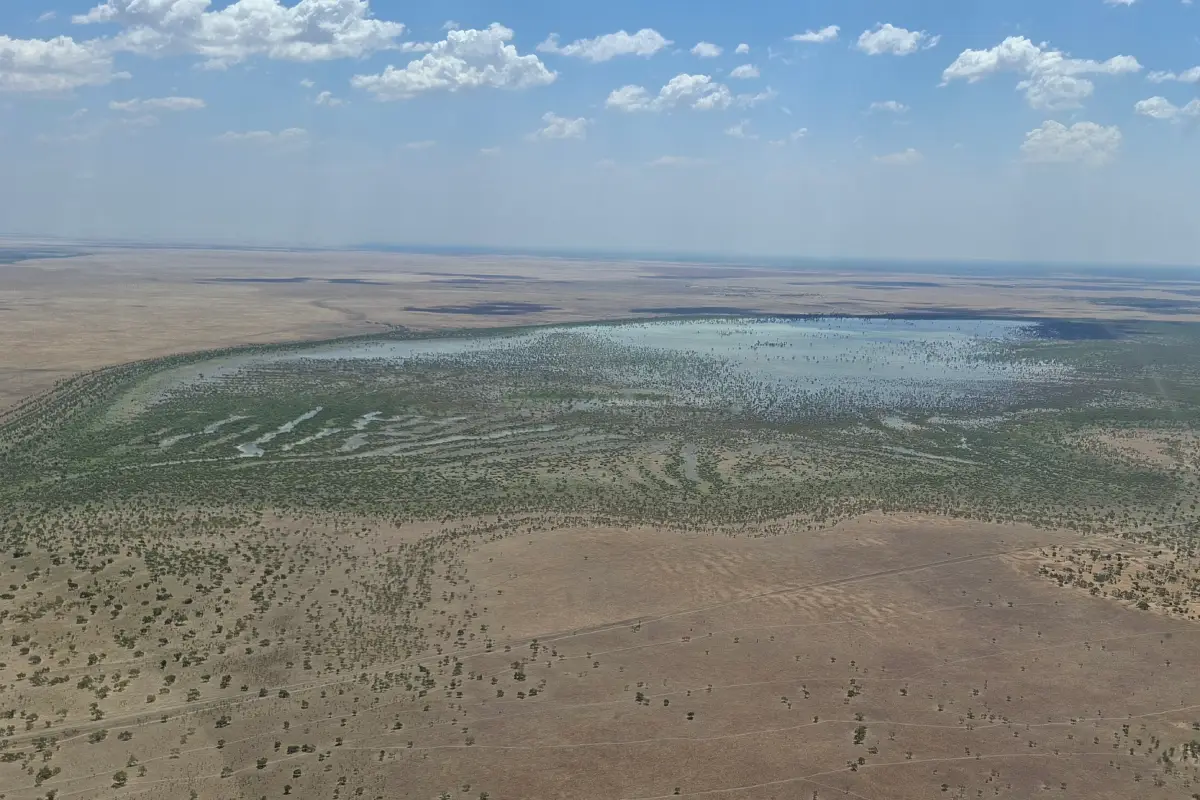 H5 bird flu surveillance takes flight over Barkly Tablelands