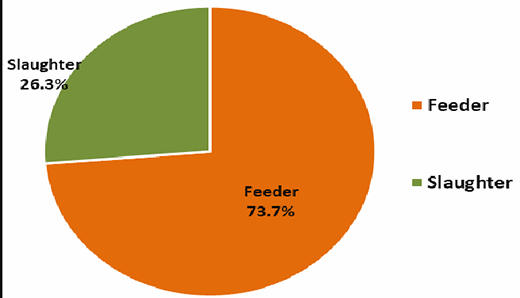 Live cattle and buffalo exports by type