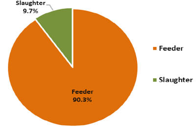 Pie graph live cattle and buffalo exports by type