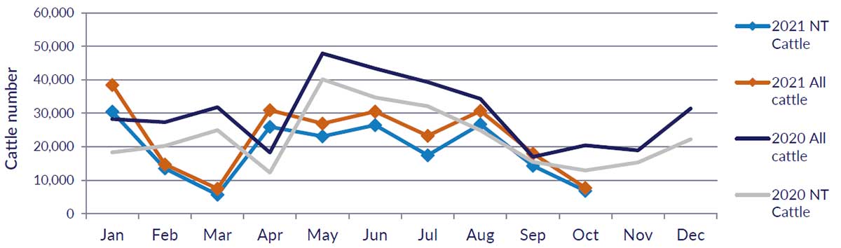 Graph showing cattle numbers through the Port of Darwin since January 2020