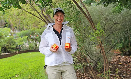 NT beekeepers build queen bee power