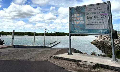 Golden Snapper Recovery Have Your Say: what we heard and what happens next