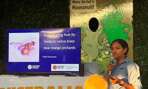 Mango Roadshow - Thilini 