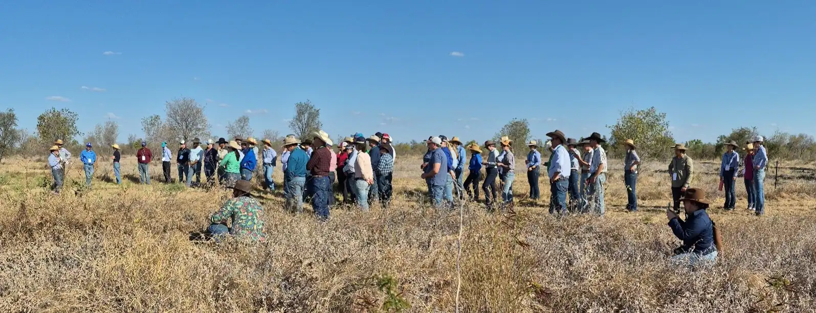 Paddock tour - Learning about legumes