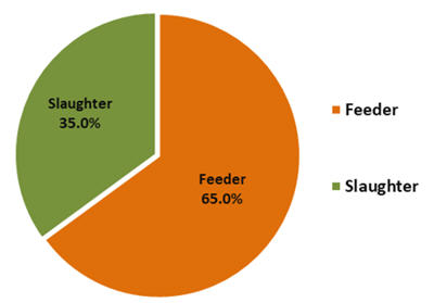 Live cattle and buffalo exports by tyoe