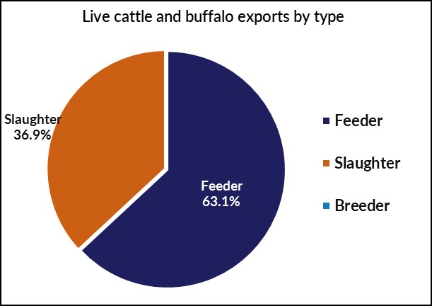 Live cattle and buffalo exports by type